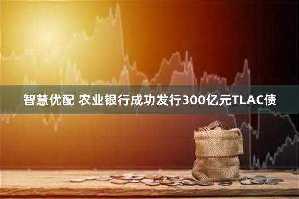 智慧优配 农业银行成功发行300亿元TLAC债